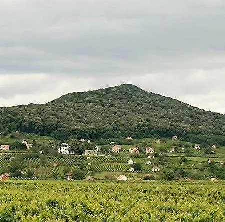 Szende