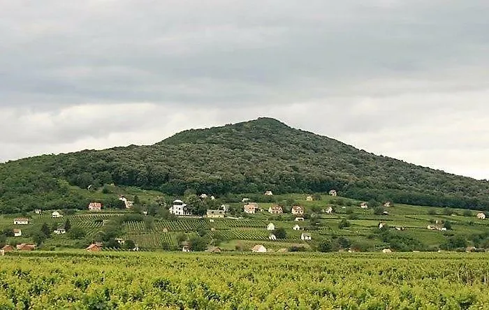 Szende